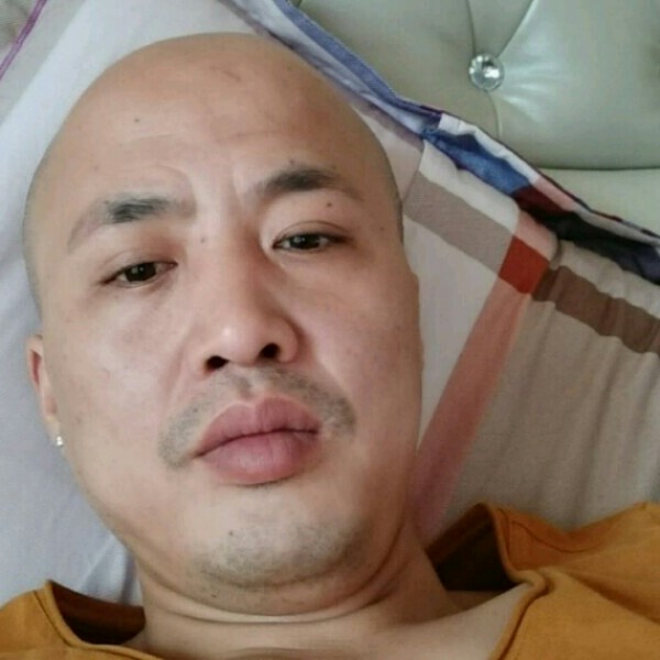 幸福乌龟的照片