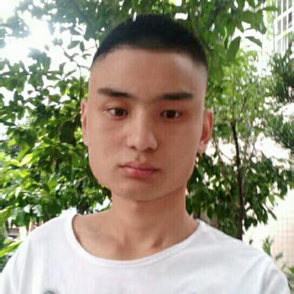 笨笨蹁跹奇迹的照片