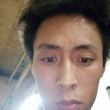 花卷浅吻華麗的照片