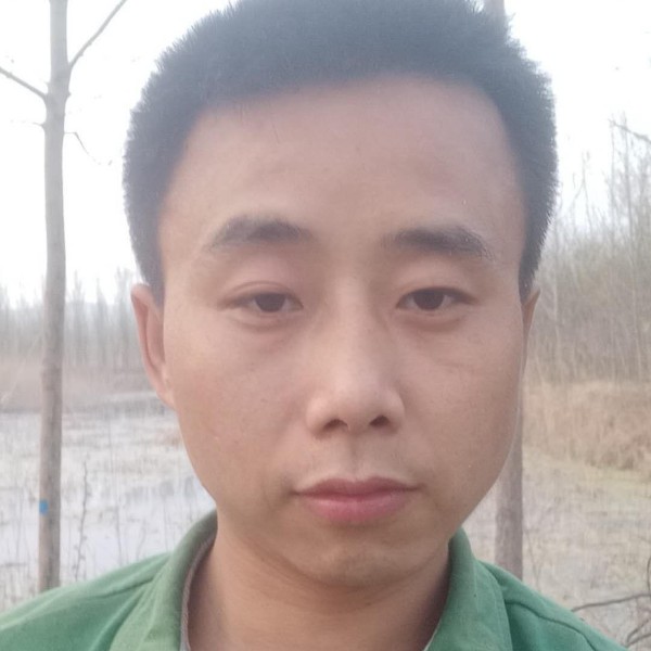 寻找真爱的福的照片
