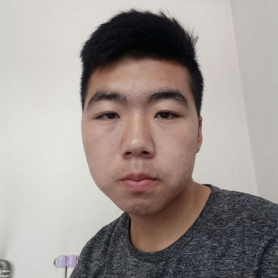 黑猫和贪玩的照片
