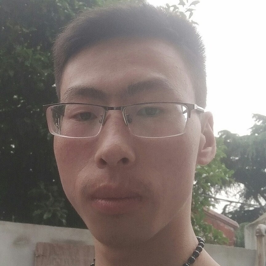 包容斑马鱼的照片