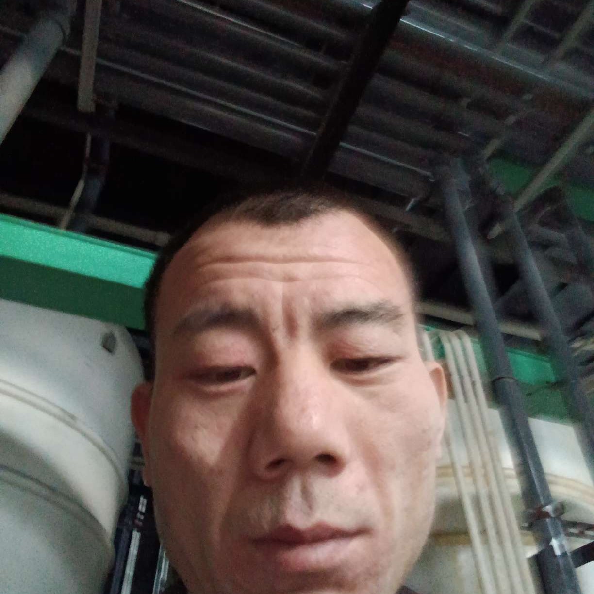 散饭的照片