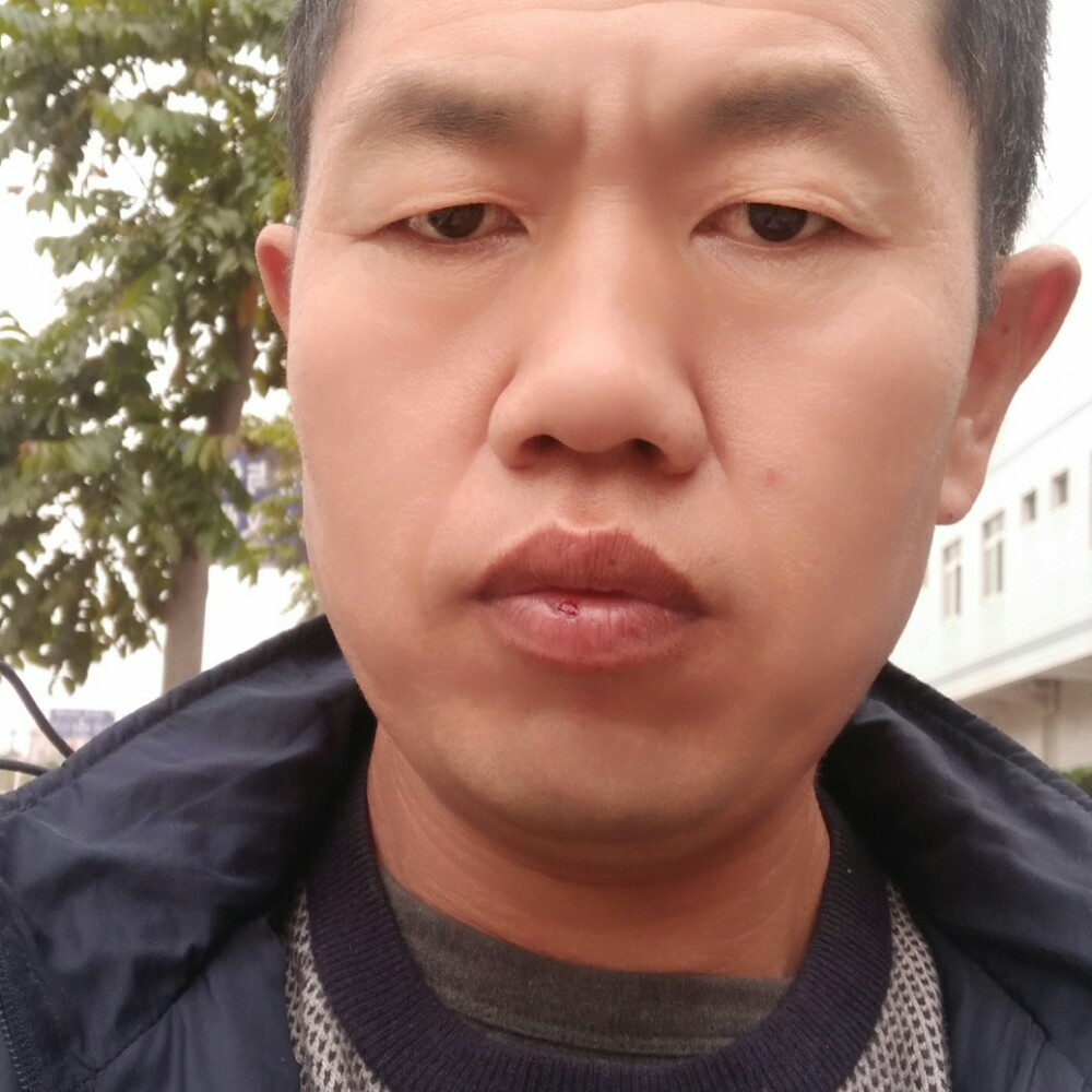 轻松舒荷的照片