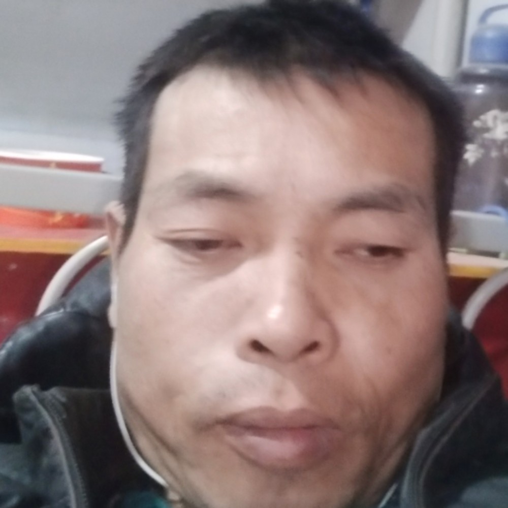 y大地回春的照片
