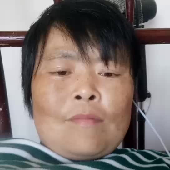 单身还蚂蚁的照片