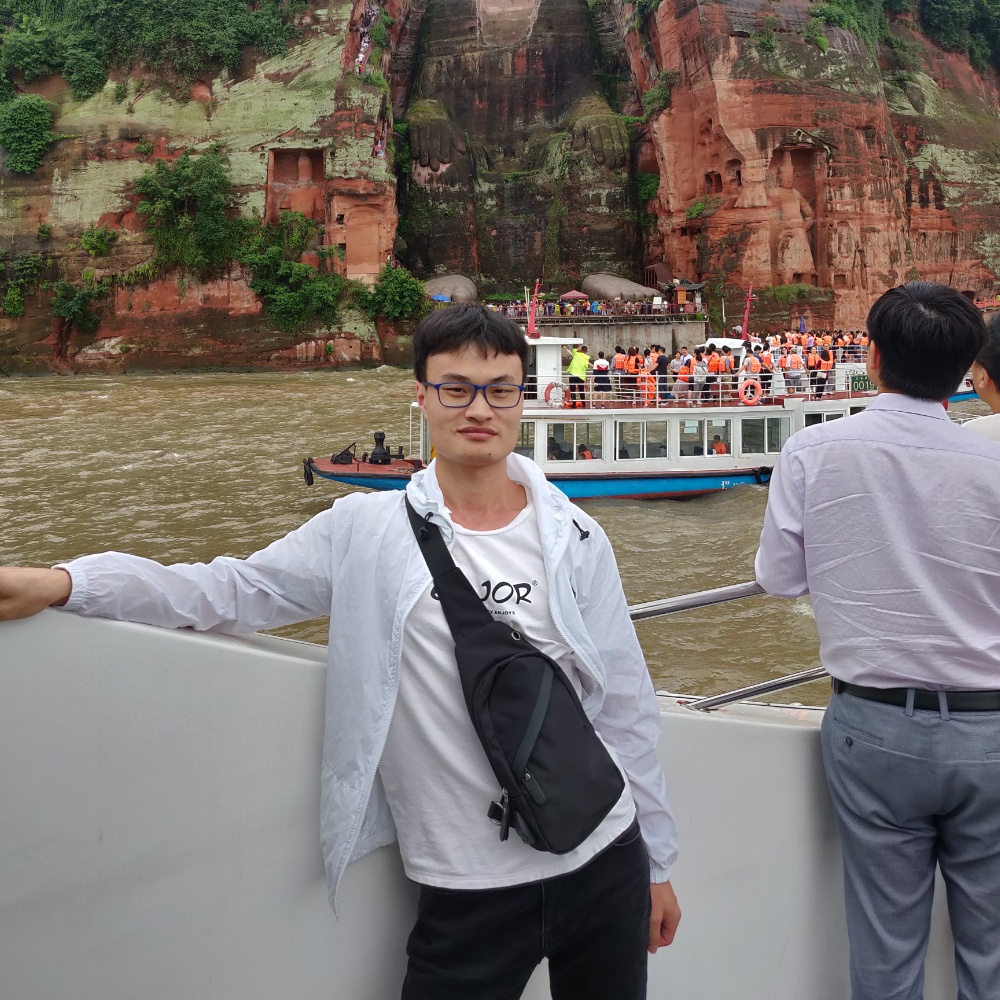 流浪的鲸鱼的照片