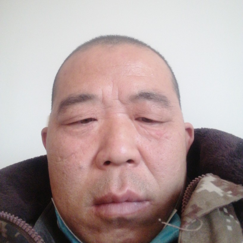 小天鹅调皮可爱的照片