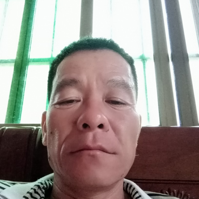 背后請黑夜的照片