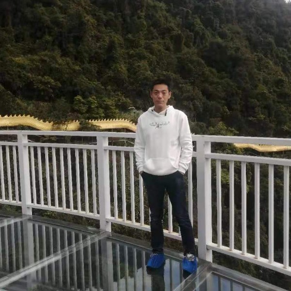 鸵鸟回首风中的照片