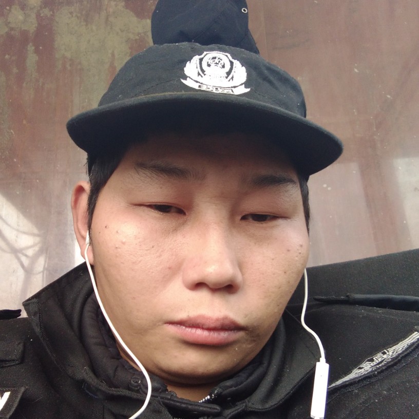 含羞草方沉静的照片