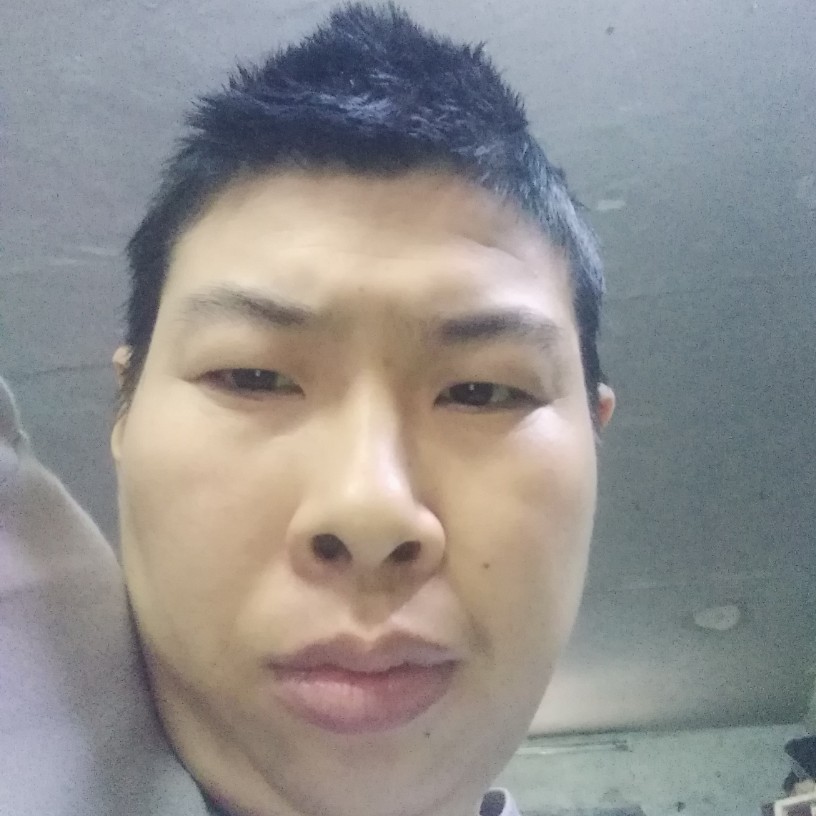 老实灯泡的照片