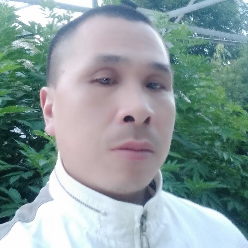 早晨的紫兰花的照片