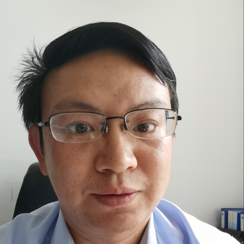 沙滩海螺的照片