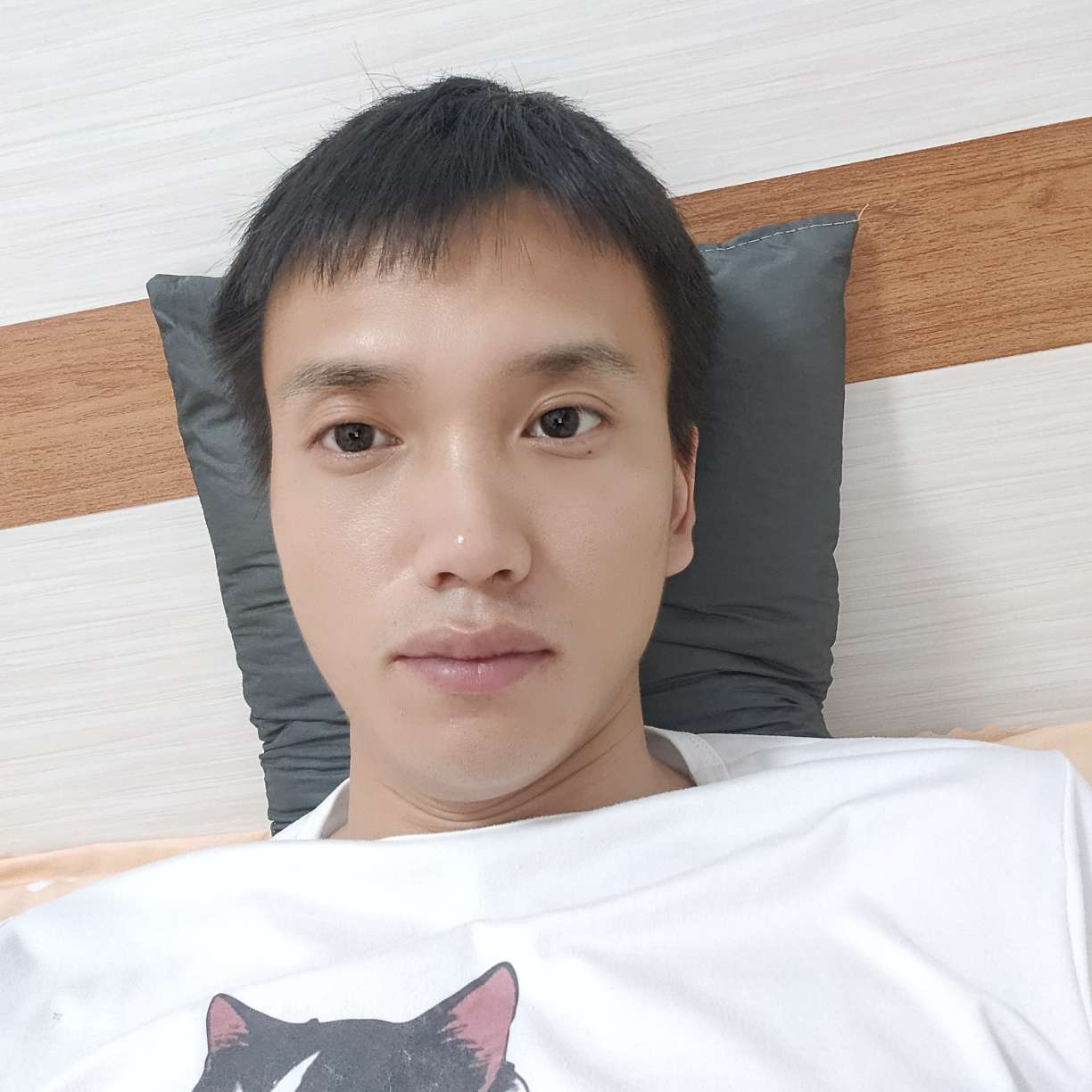完美拿含羞草的照片