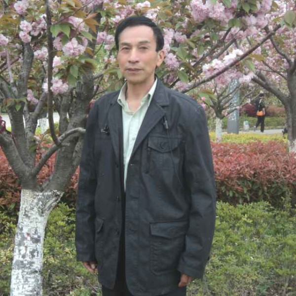 爱吃鱼的海狼的照片