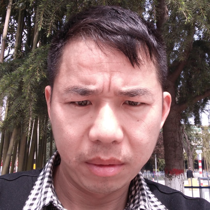 小白菜整齐的照片