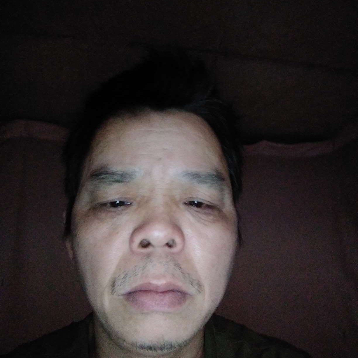 流年的向小刺猬的照片