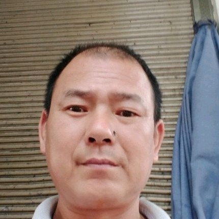 傲娇拾忆狗的照片