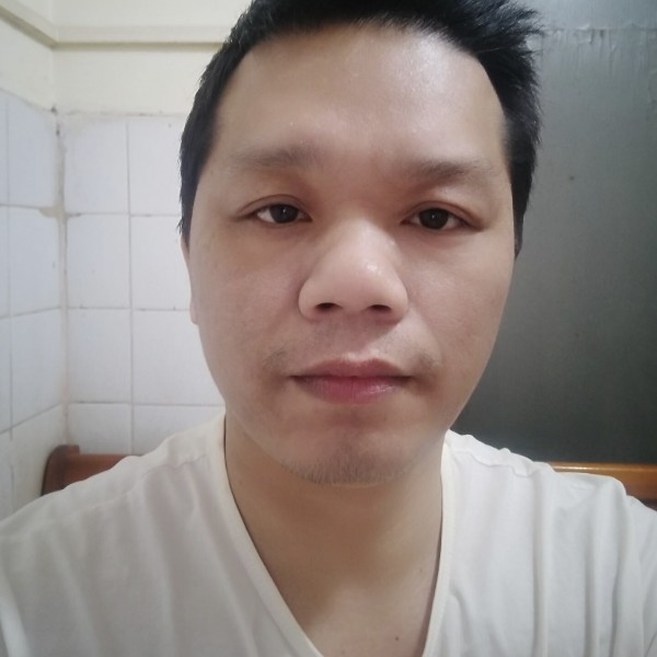 落叶搜索的照片