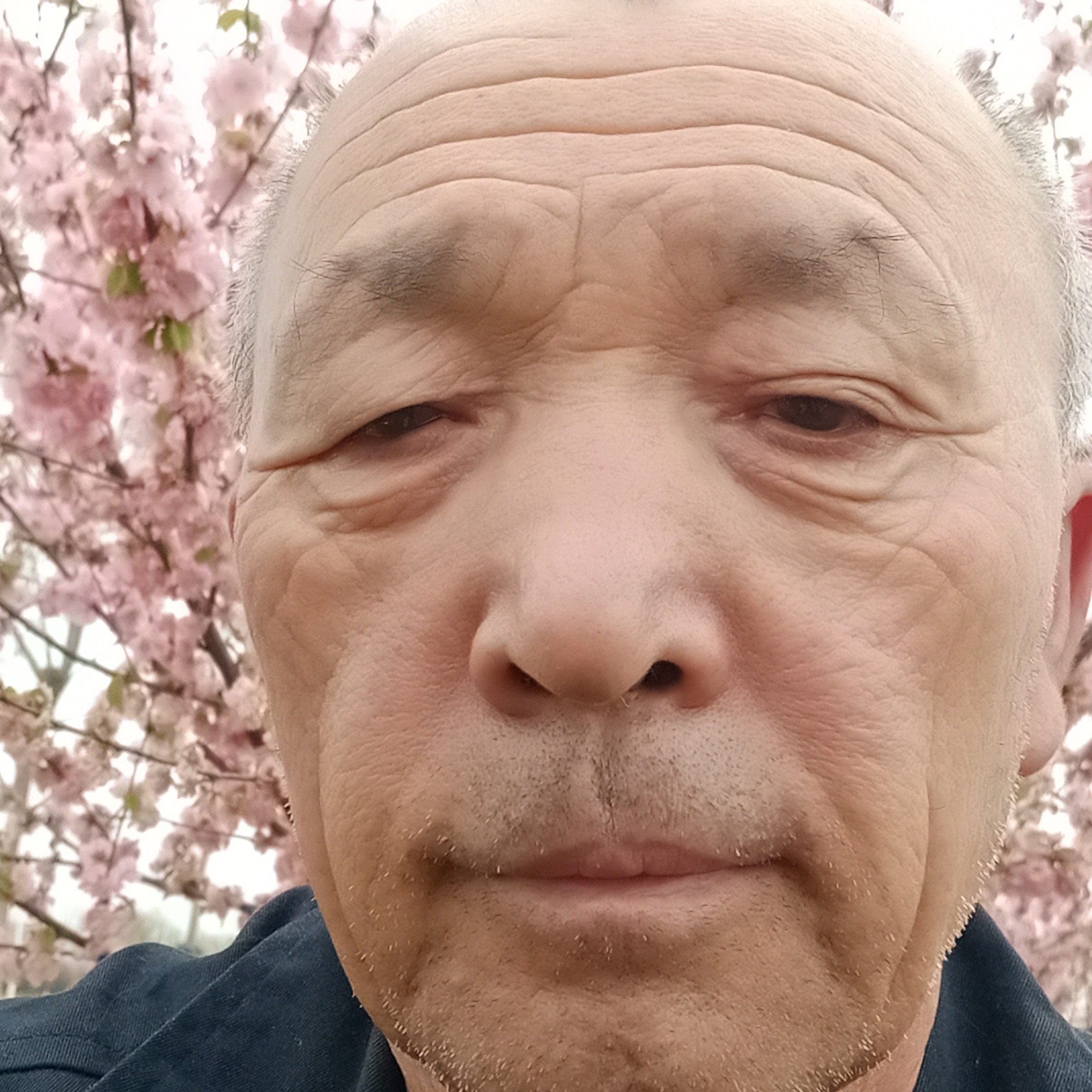 冥王星等于冷傲的照片