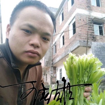 王春雄的照片