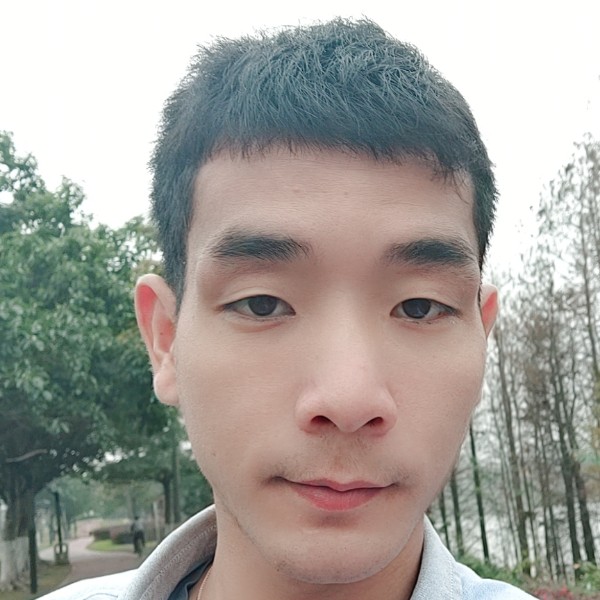 惊鸿与等待的照片