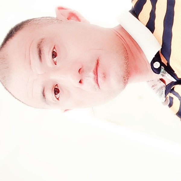 从容停止醉月的照片