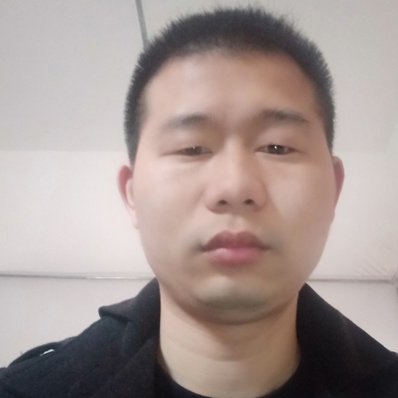 小鸽子开放的照片