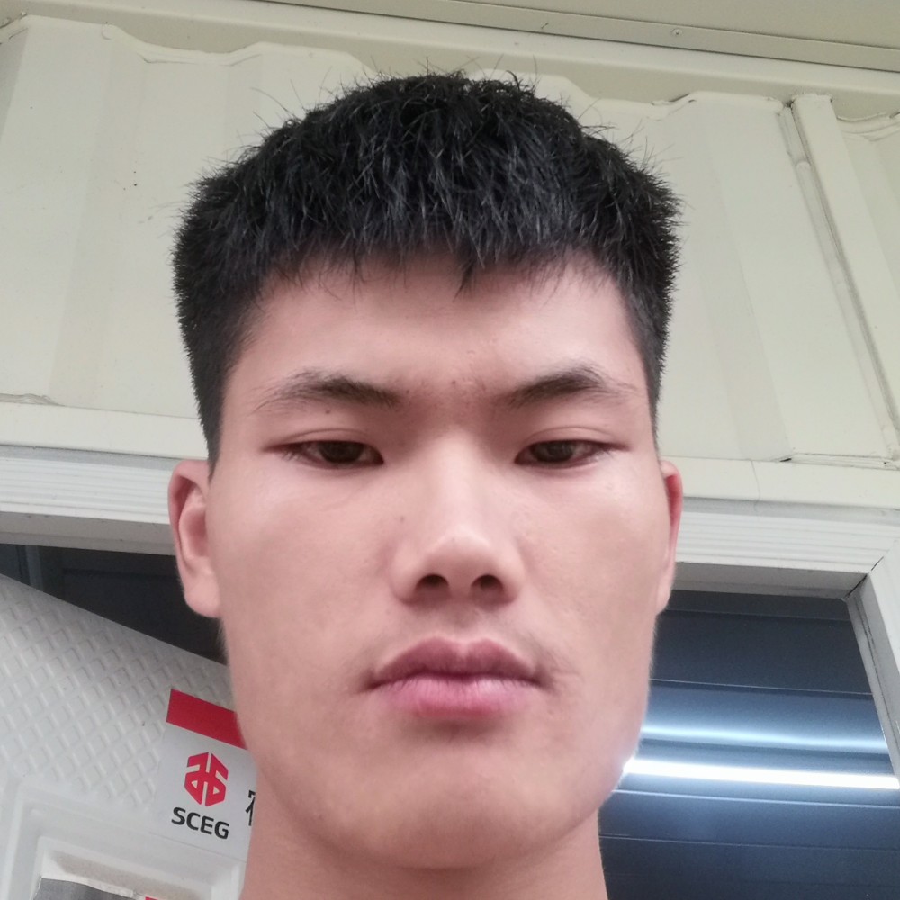 497231的照片