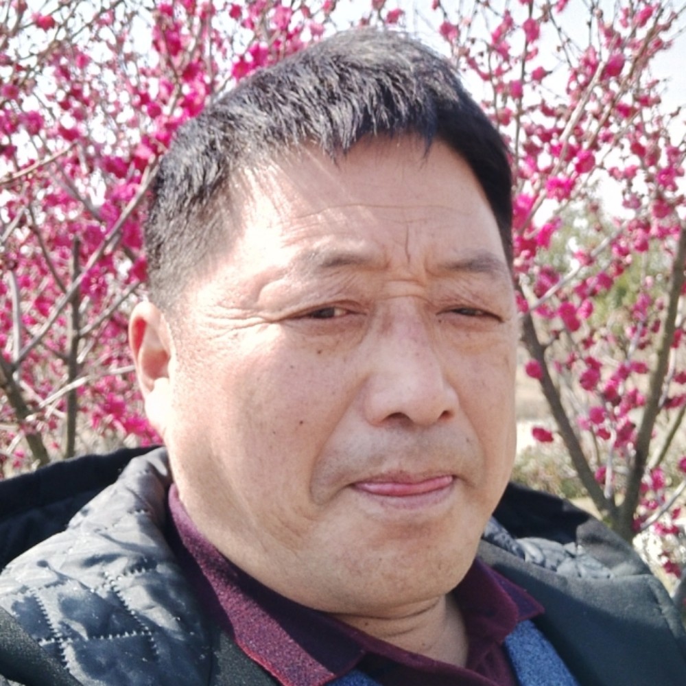 一个孤独的狗。的照片