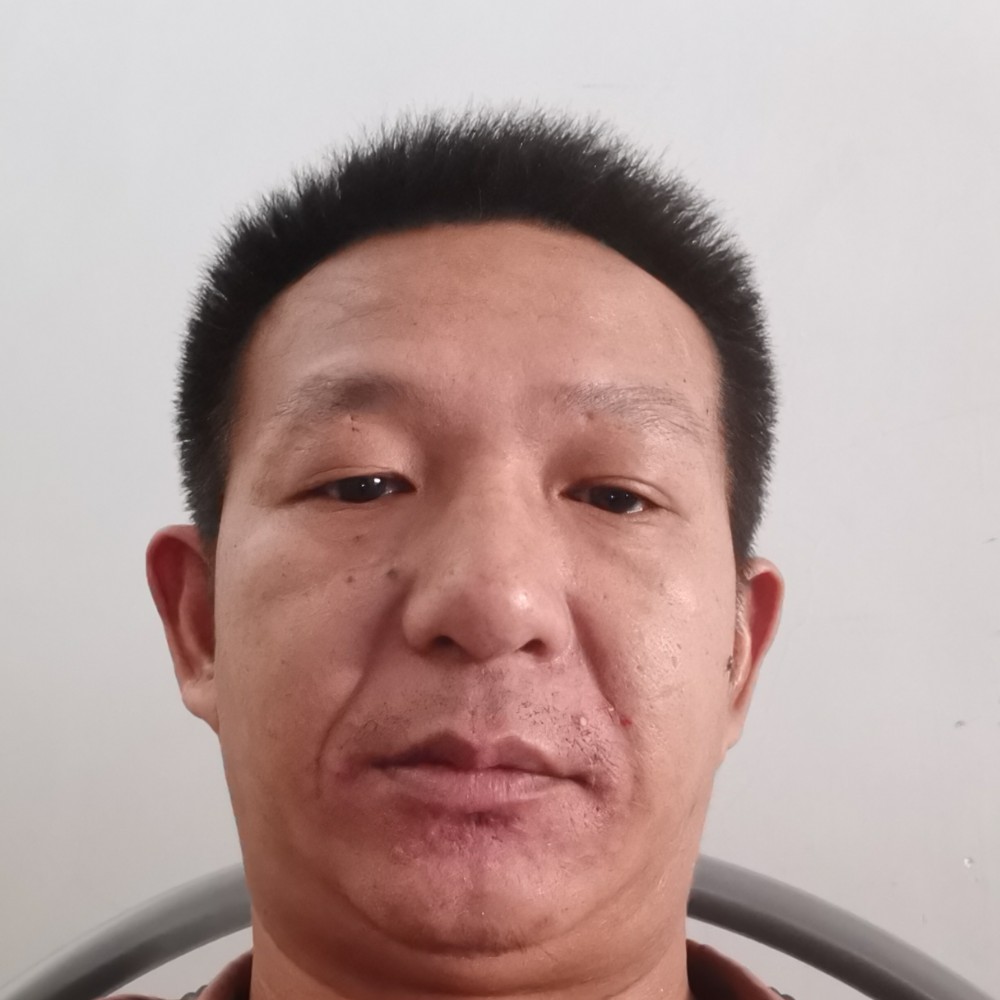 糊涂漫步蚂蚁的照片
