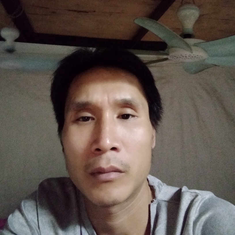 迟来的爱与祝福的照片