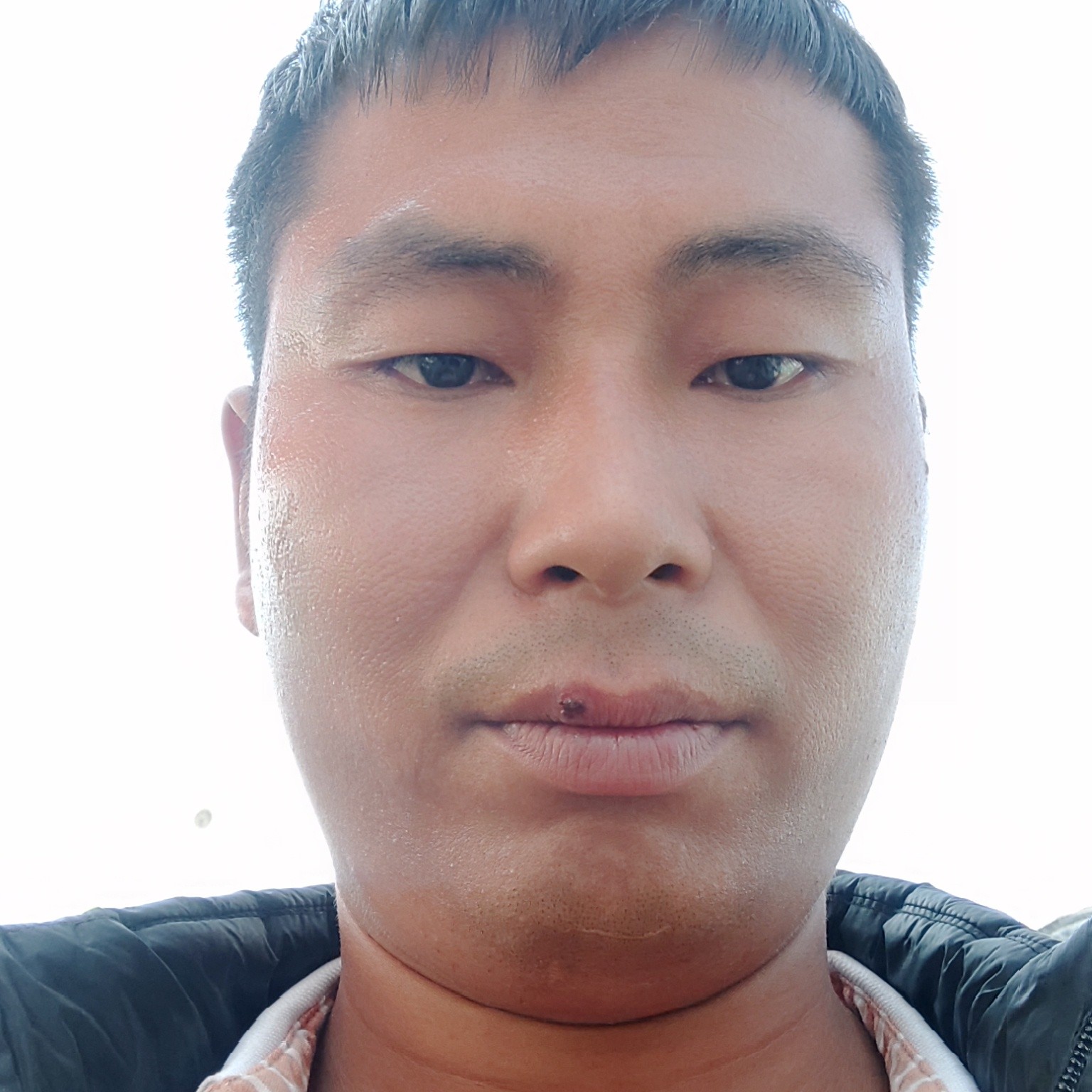 大碗傻傻的照片