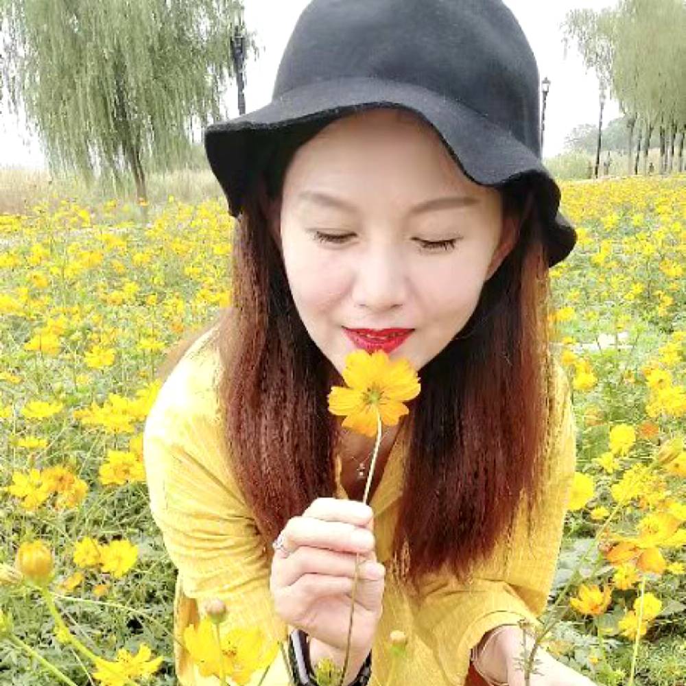 向日葵的照片