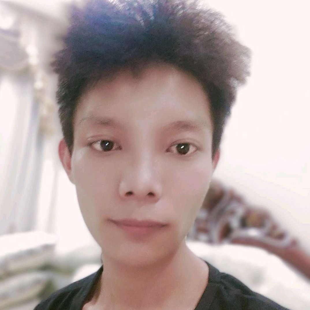 舒适挽手小海豚的照片