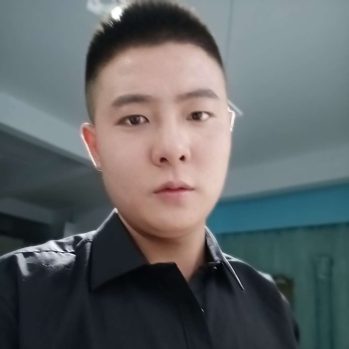 斯文与蚂蚁的照片