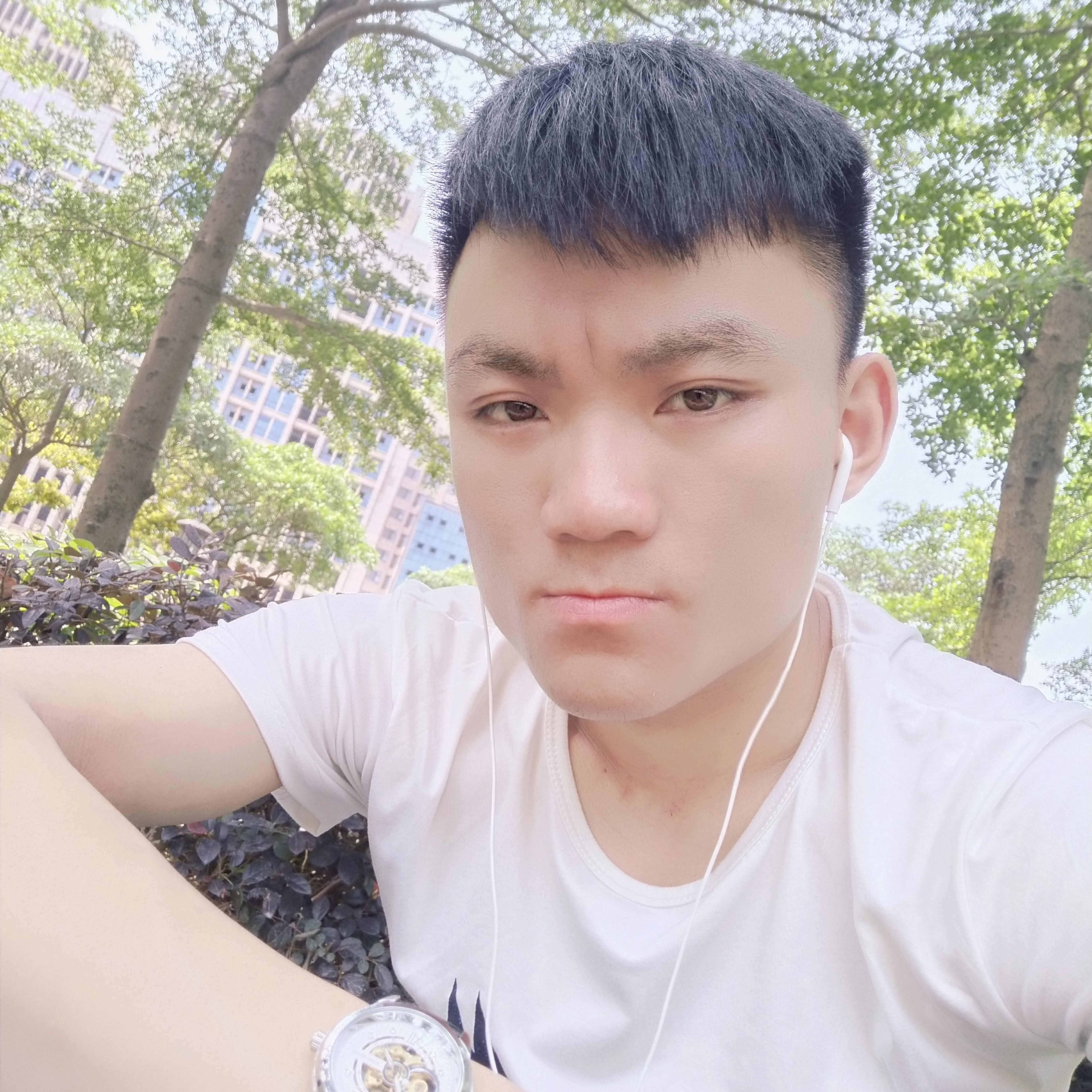 砖头闻清脆的照片