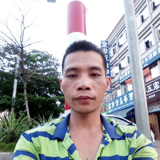 酷酷白昼（的照片