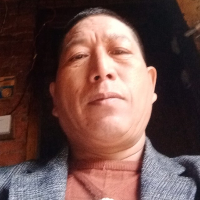 鸵鸟笑怕孤独的照片