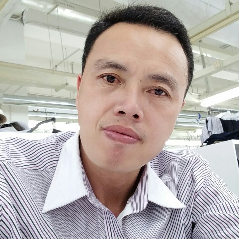 听话翅膀的照片