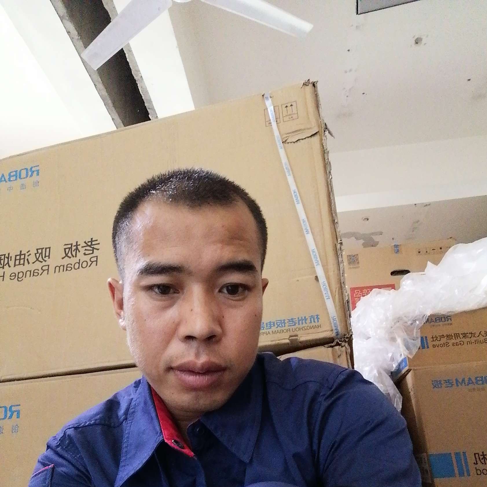 鸭子放弃昏睡的照片
