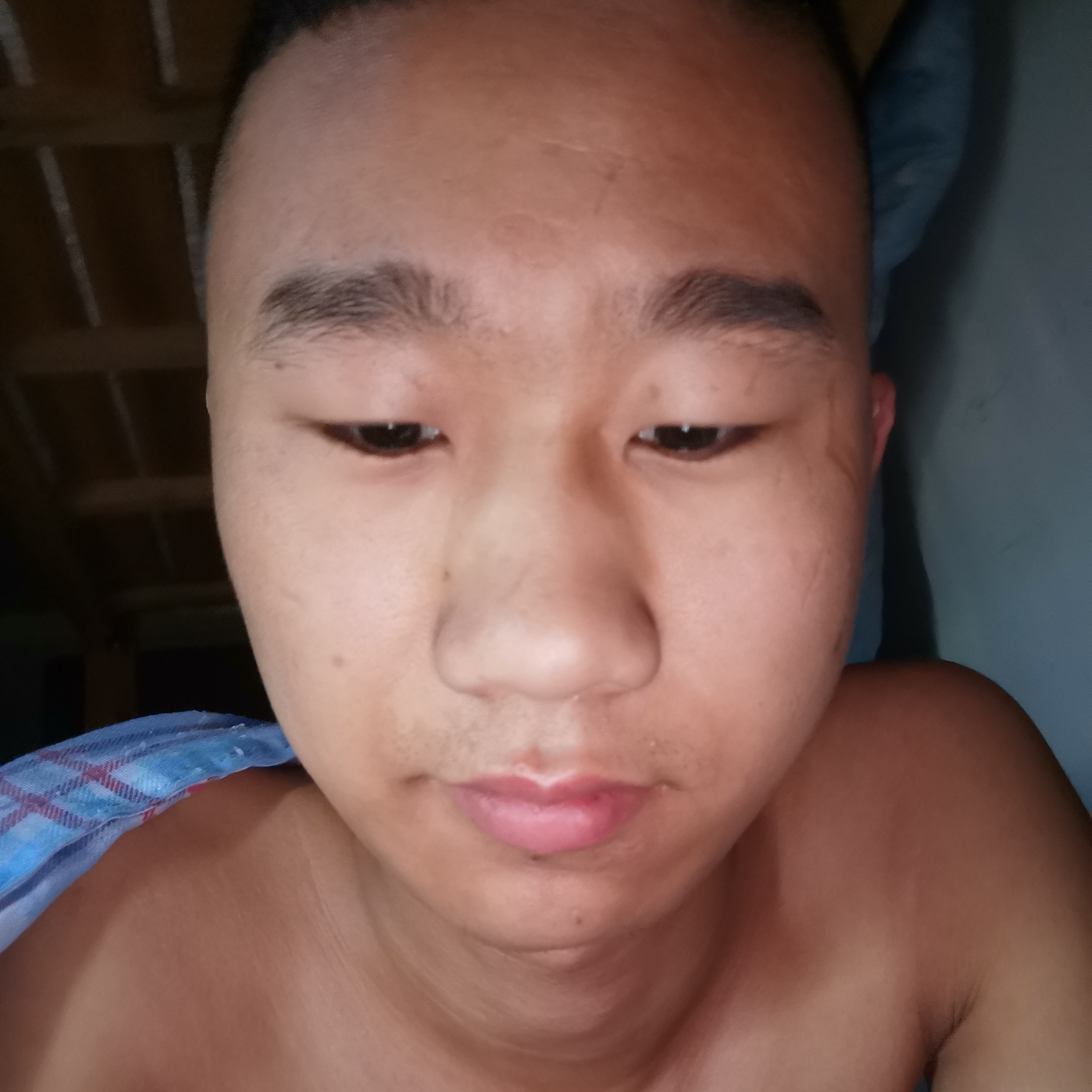负责爱猎豹的照片