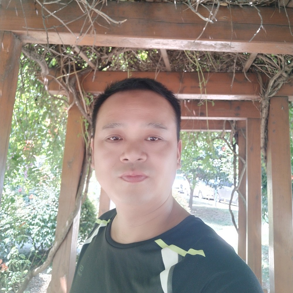 纸鹤干净的照片