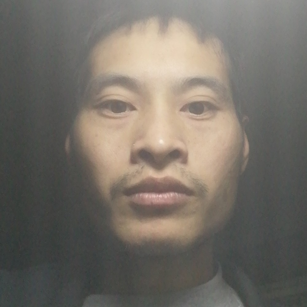 海燕结实的照片