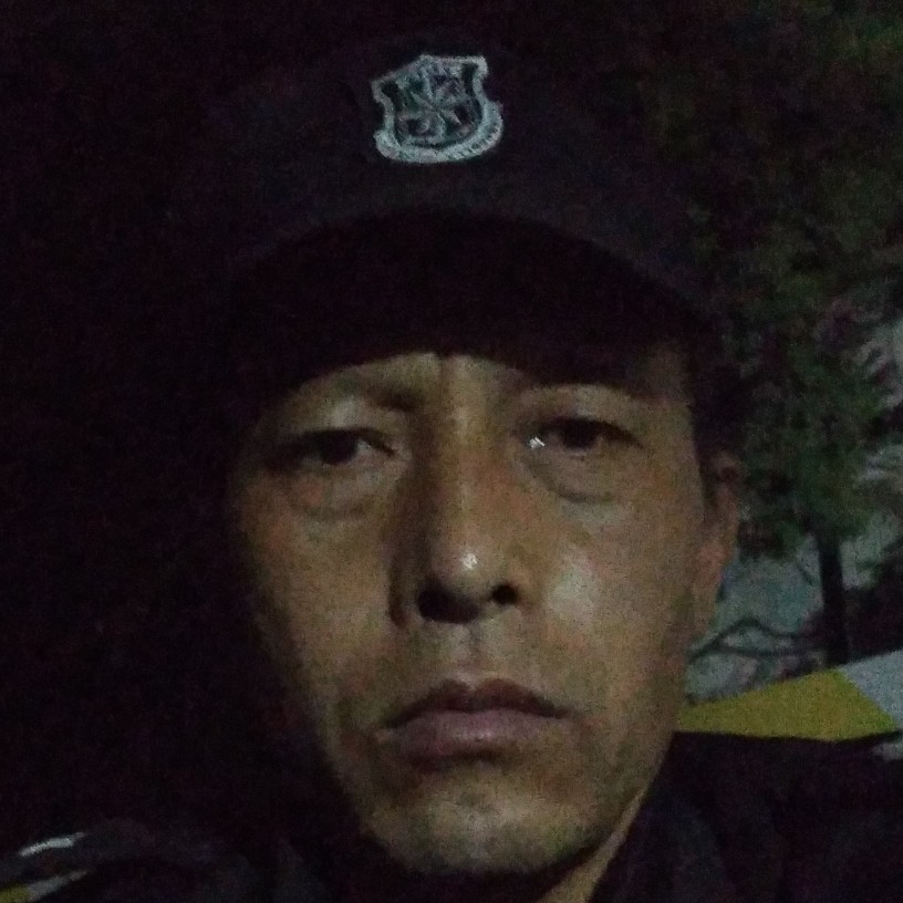 乌龟蹁跹想人陪的照片