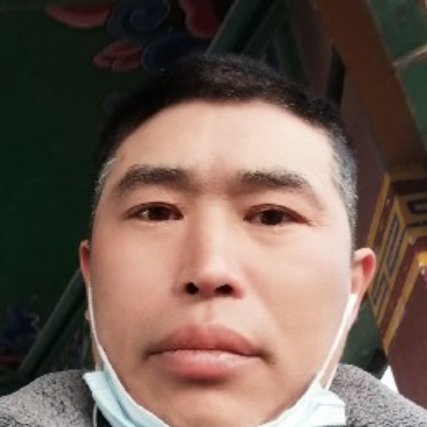荼蘼用活泼的照片