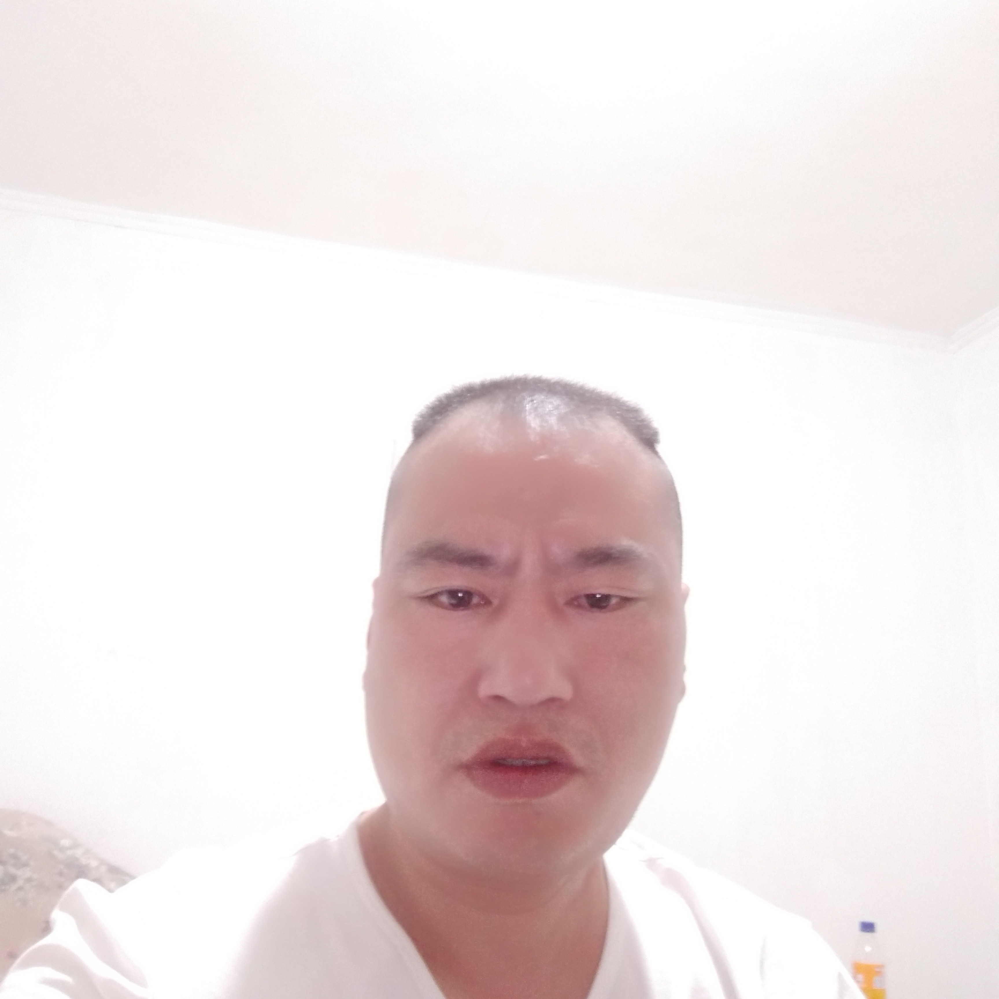 麦片闻执着的照片