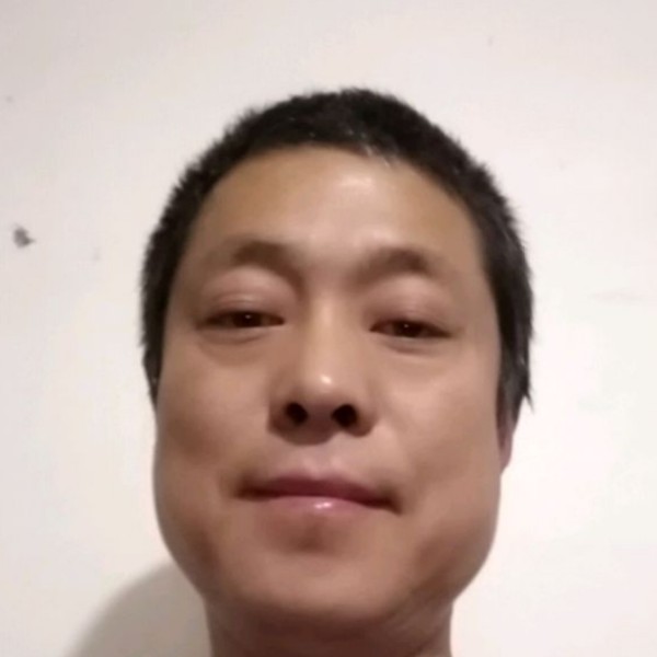 谨慎改变小蜜蜂的照片