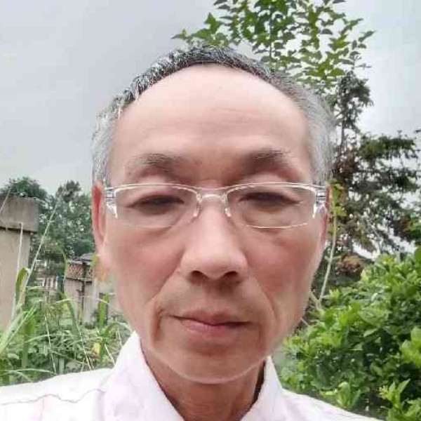 小海豚爱1辈子旳的照片